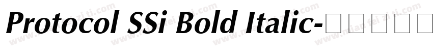 Protocol SSi Bold Italic字体转换